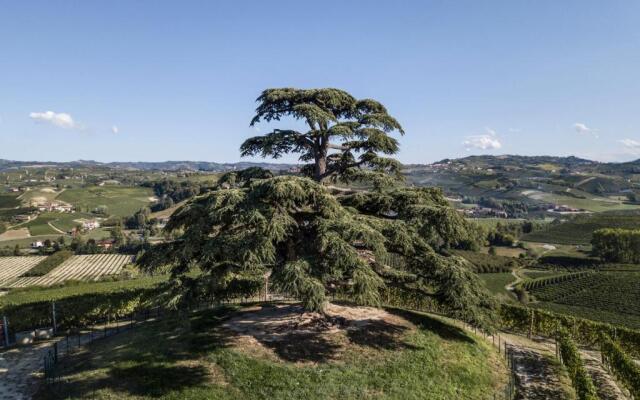 Agrisuite Il Cedro