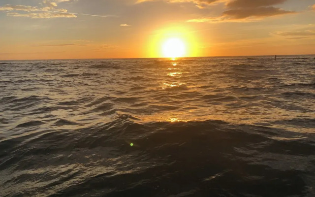 Tampa Heights Bungalow