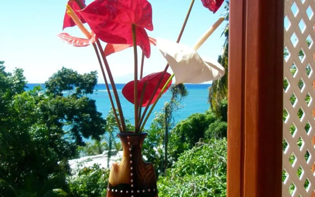 Palm View