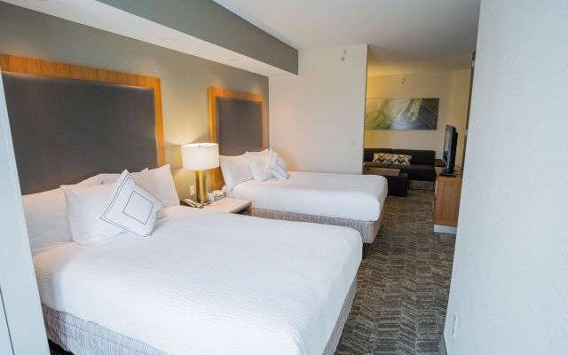 Springhill Suites by Marriott Winston-Salem Hanes Mall