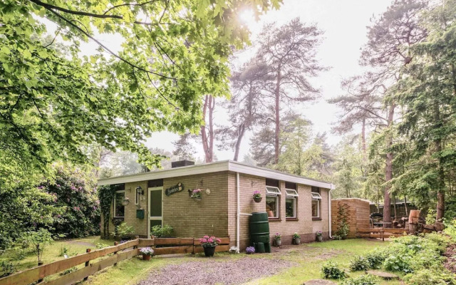 Furnished Holiday Home in Overijssel by the Forest