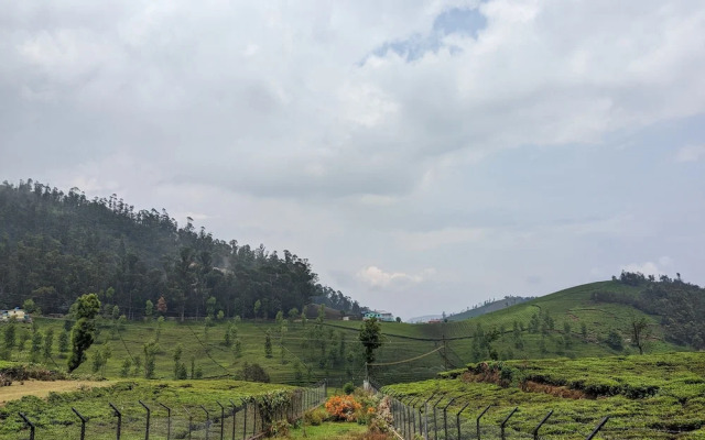 Bagaan