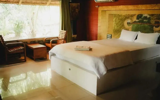 Misty Night Jungle Side Resort