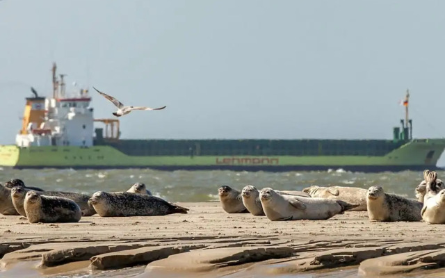 Ostland Modern Retreat