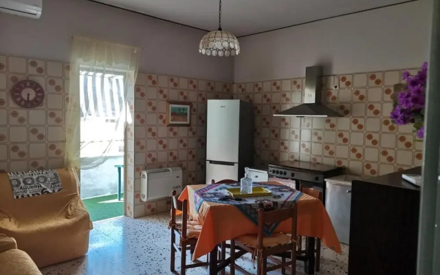 Segesta - Dream Room