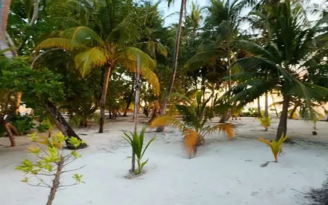 Rattehi Inn at Rakeedhoo