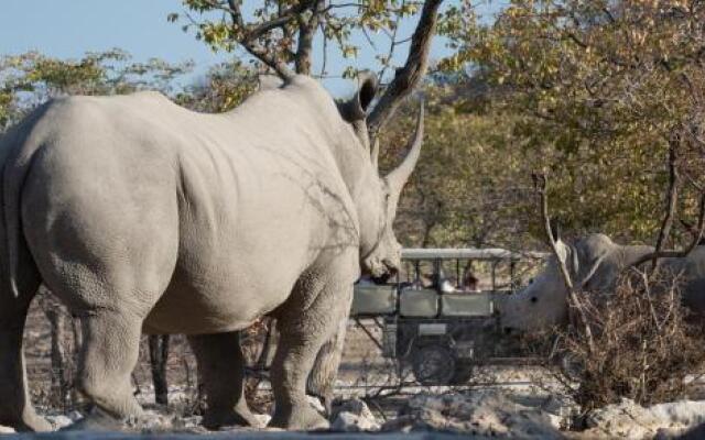 Ongava Tented Camp