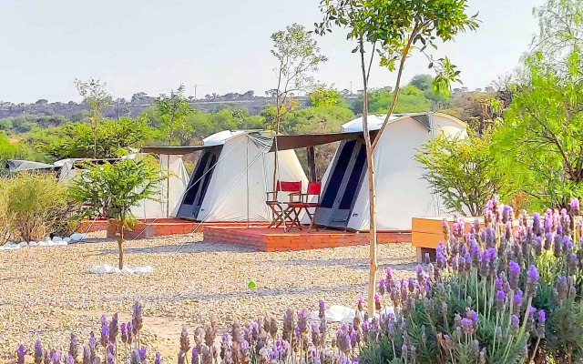 ZenZontle GlampingSMA By Rotamundos