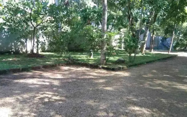 Mangroven Bungalow