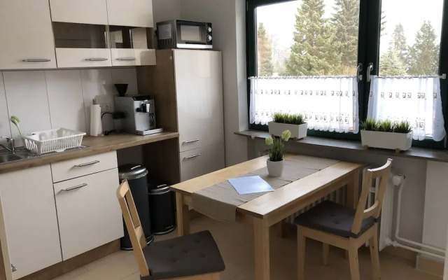 Completely Renovated 1-room Apartment in the City Center