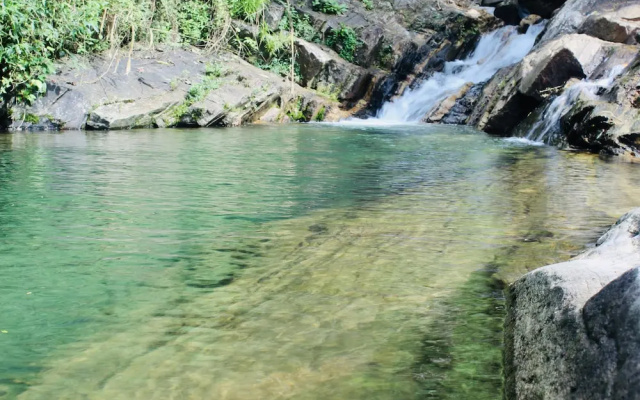 Sandalu Kithulgala