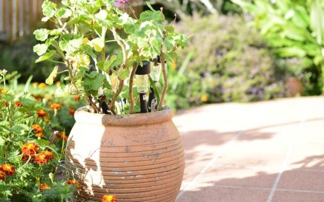 Rosevillehouse Bed & Breakfast