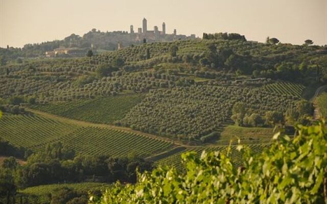 Fattoria Voltrona