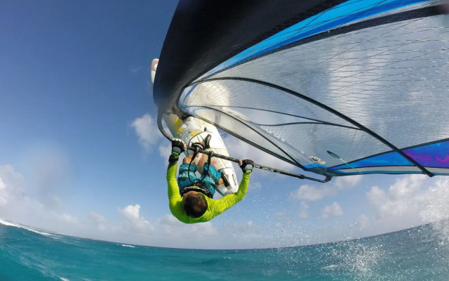 Yellow Bird Apartment