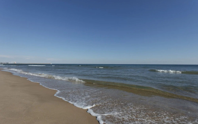 Cotton in Oliva With 3 Bedrooms and 1 Bathrooms