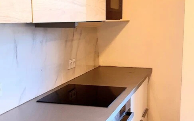Luxury Green Penthouse Center - Parking