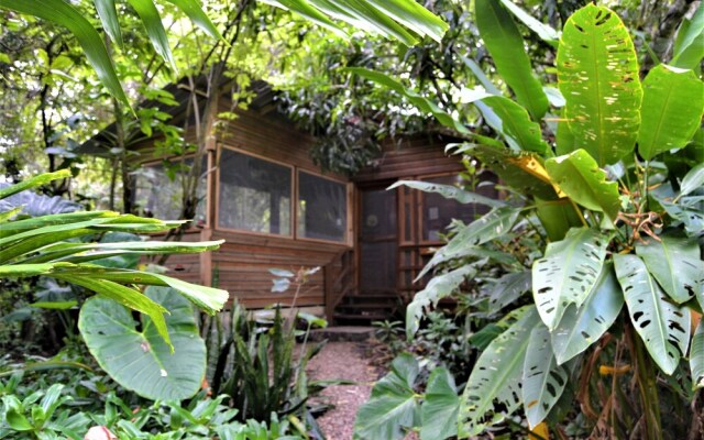 "the Tropical Acre Belize - Purpose Built Rustic Two Bedroomed Vacation Home"