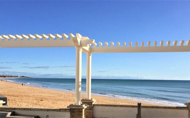 T1 Tropical by Paradise Waves