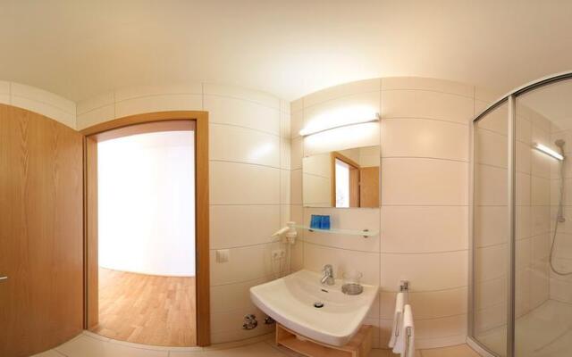 Apart Mountain Lodge Mayrhofen