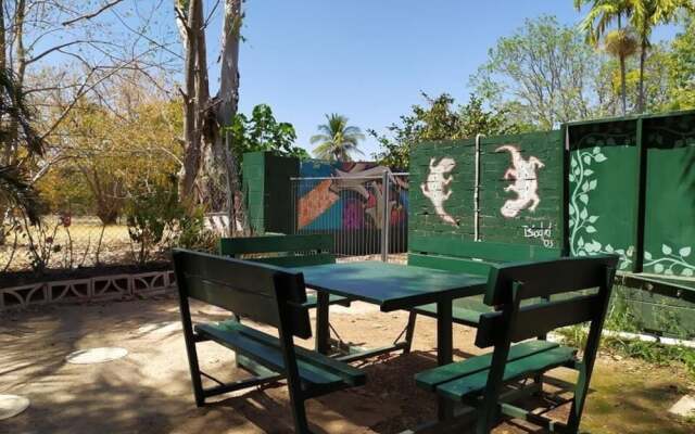 Palm Court Budget Motel Hostel/Backpackers