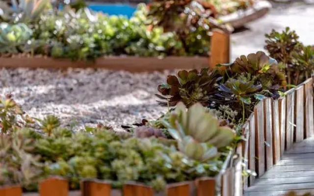 Dali Ancient Town Leisure House B&B