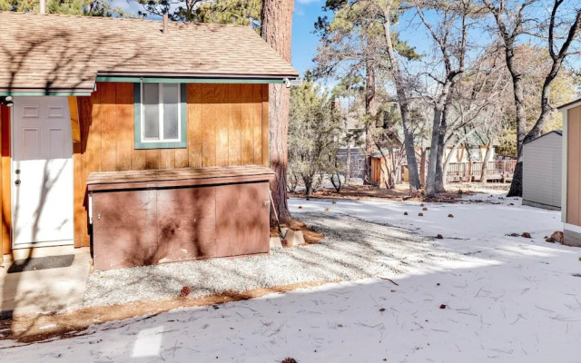 Sugar Bear Crossing #2496