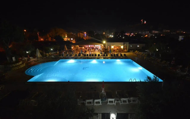 Saray