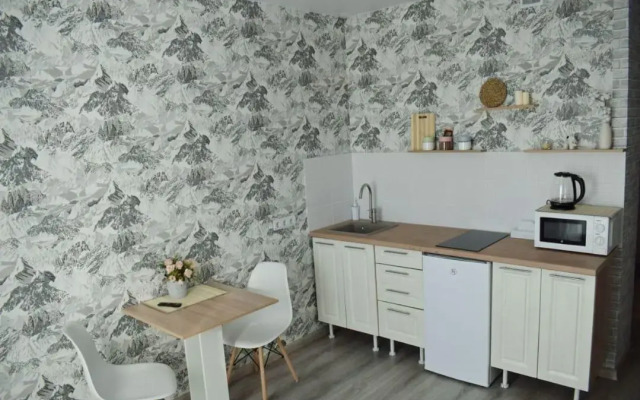 Apartments near Tolmachevo airport