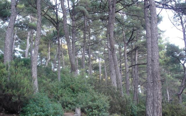 Studio with loft Raxes Ikaria #5