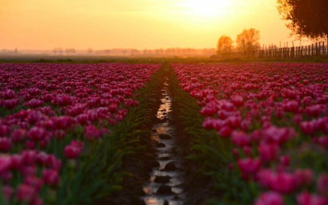 Residence De Kaaipoort appartementen