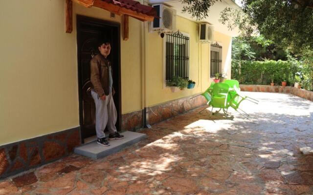 Olive Tree Apartment