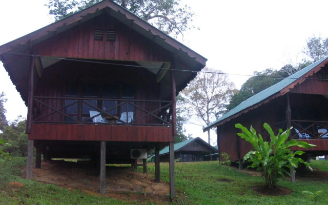 Sukau Proboscis Lodge Bukit Melapi