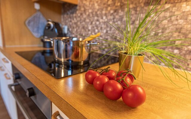 Tevini Alpine Apartments - Kitzblick