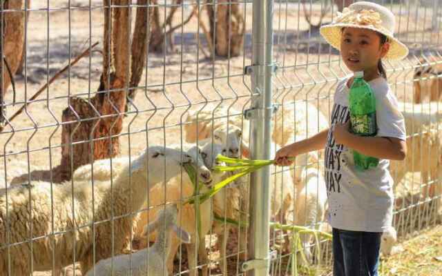 Sai Gon Binh Chau Eco Resort