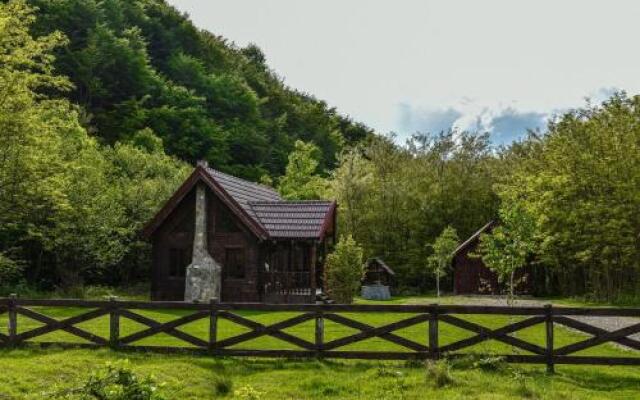 The Little Mountain Cabin