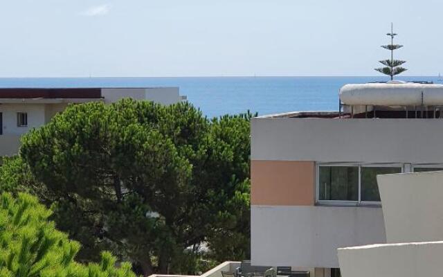 Superbe appartement plage SAINT-LAURENT DU VAR
