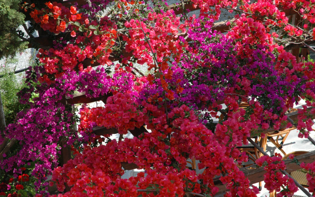 Kerveli Village Hotel