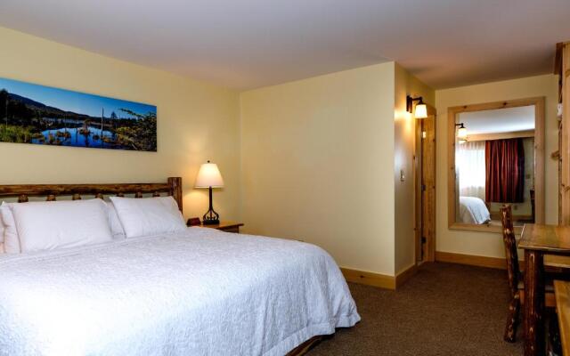 Adirondack Spruce Lodge