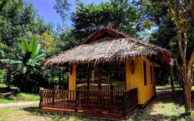 Our Jungle Camp - Eco Resort