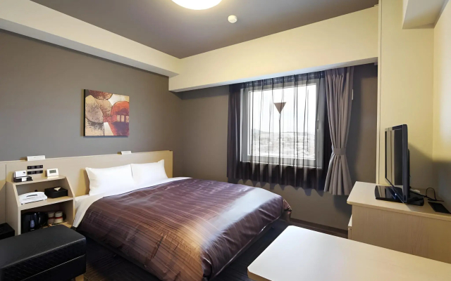 Hotel Route Inn Hamada Ekimae