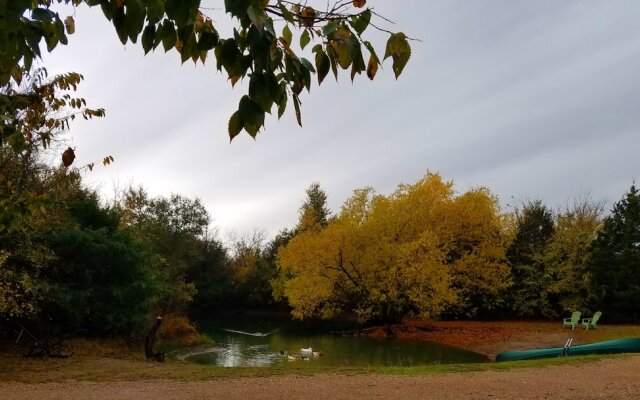 Savannah's Meadow