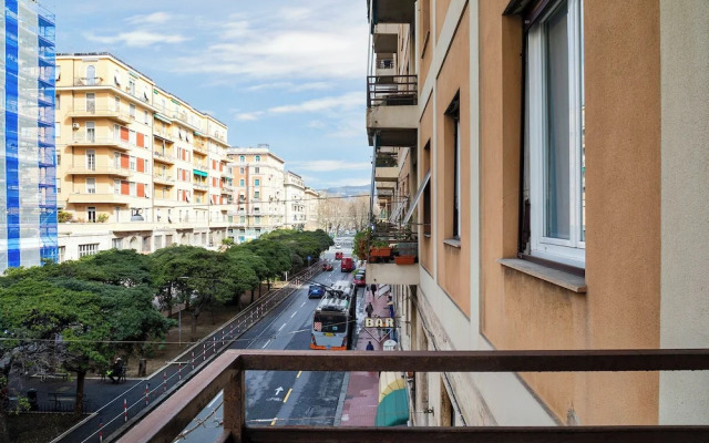 Beauty & Design in the Center