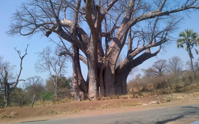 Lesoma Valley Lodge