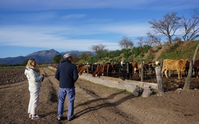 Finca Las Margaritas