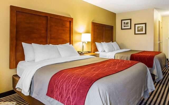 Comfort Inn Owatonna near Medical Center