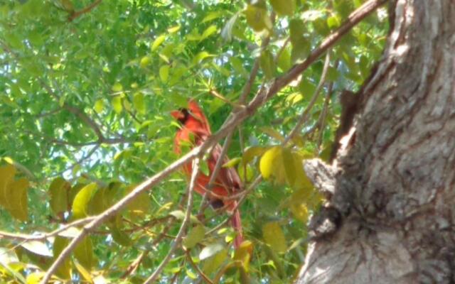 Ocean Oasis at Ocean Pointe