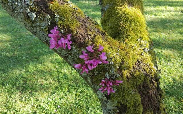 B&B & Spa Des Histoires d'Anges