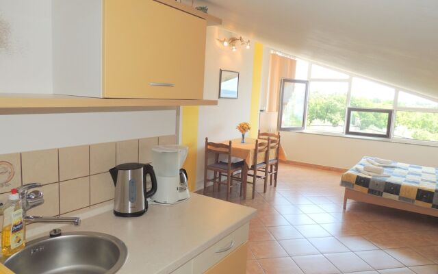 Apartment and rooms Brzac