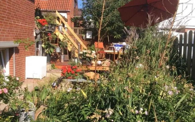 Schwalbennest_ Silke Felix