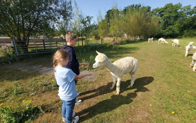 Dartmoor Reach Alpaca Farm